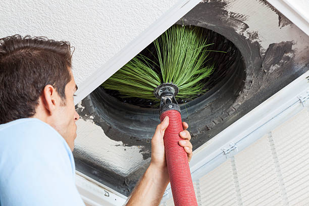 Best Local Air Duct Cleaning Services  in Nanakuli, HI